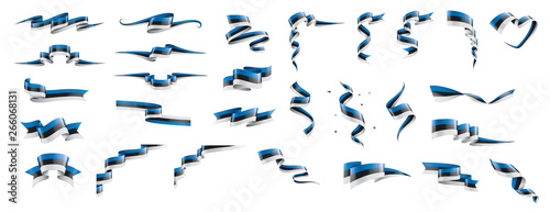 Estonia flag, vector illustration on a white background