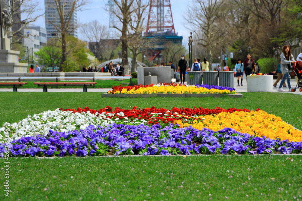 札幌テレビ塔と大通公園の春の風景