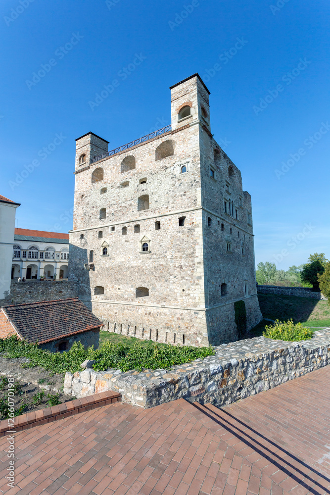 Castle of Sarospatak