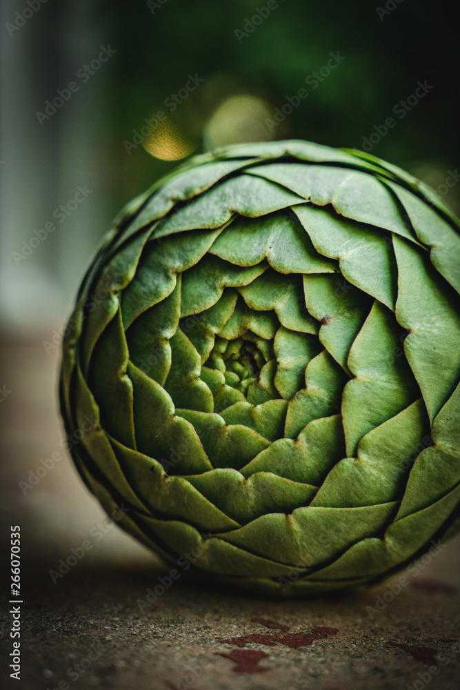Obraz premium A Big Green Organic Artichoke