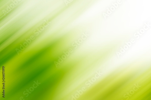 Abstract green motion blur background with bright light. Nature fresh background.