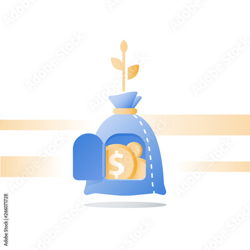 Wealth growth, time is money, financial security, pension fund, superannuation concept, income growth, capital value increase