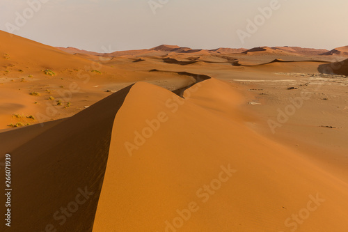 The mythical dunes of Sossusvlei near Sesriem in Namibia