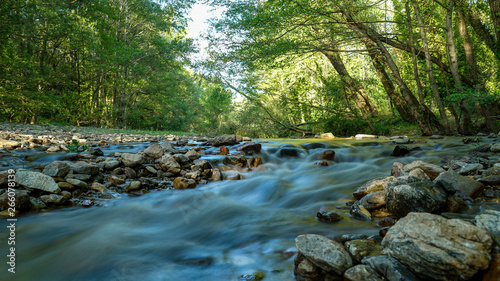 Wallpaper Mural Rivière du Reyran Malpassat Fréjus  Torontodigital.ca