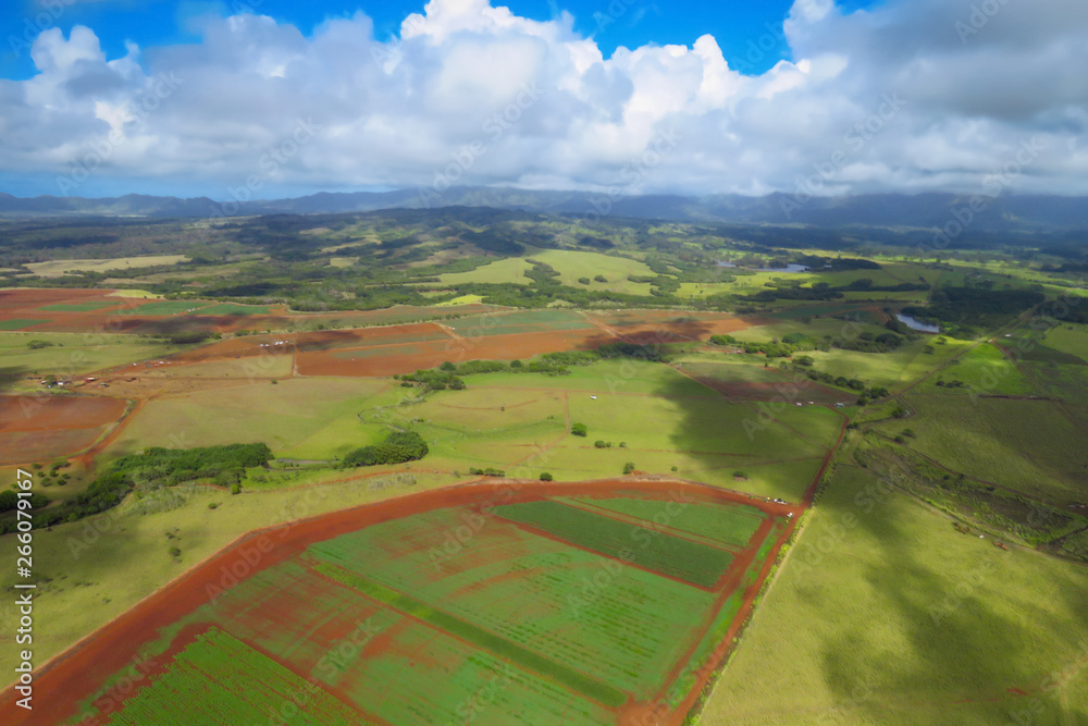 Lihue countryside aerial helicopter view, Kauai, Hawaii, USA