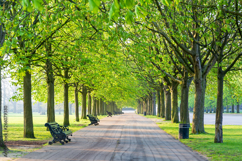 Recreational path in green park lined up with trees and beanch. photo