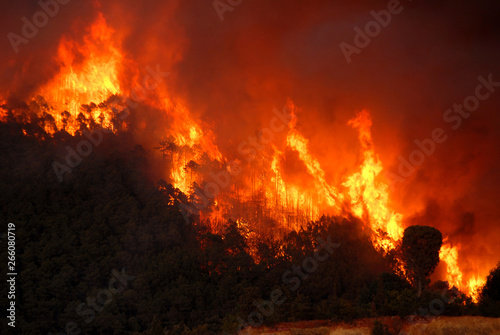Incendio monte serra 2