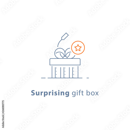 Prize give away, surprising gift, emotional present, fun experience, gift idea concept, line icon