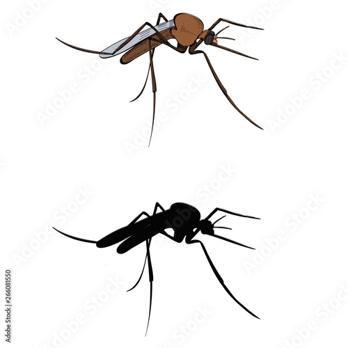 insect, mosquito, pest with silhouette