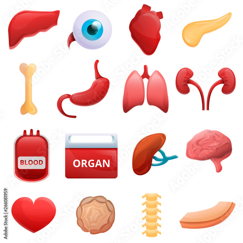 Donate organs icons set. Cartoon set of donate organs vector icons for web design