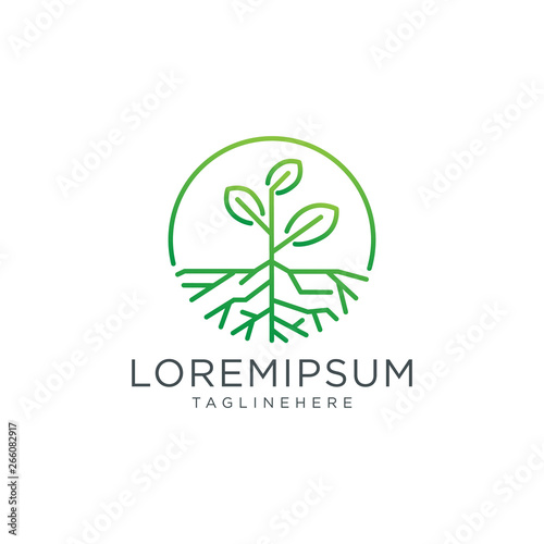 Canvas Tree and Nature line logo symbol with root and circle line