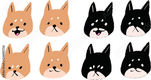 柴犬　いろいろな表情