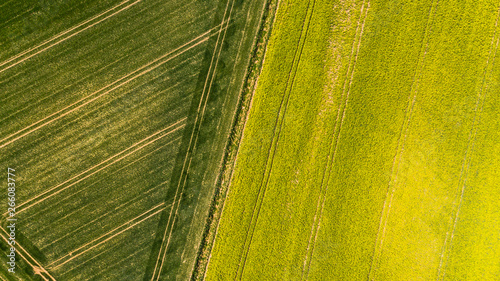 Colorful patterns in crop fields at farmland, aerial view, drone photo