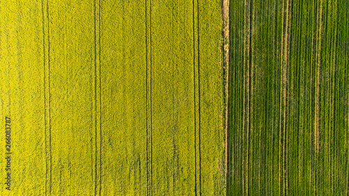 Photographie Abstract pattern in farmland fields at spring, aerial  view, drone photo