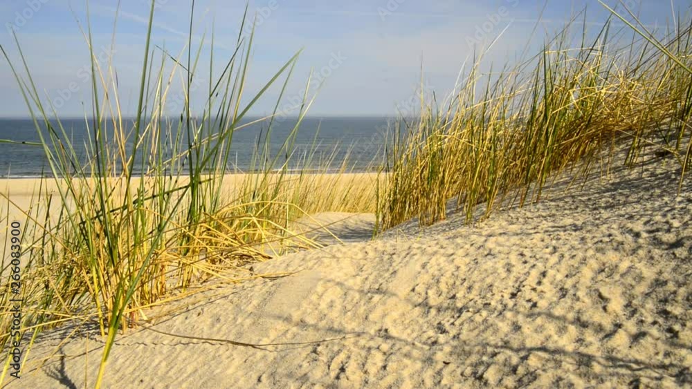 Beach of the Baltic Sea with beach grass, wind and Baltic sea in the background Beach of the Baltic Sea with beach grass, wind and Baltic sea in the background