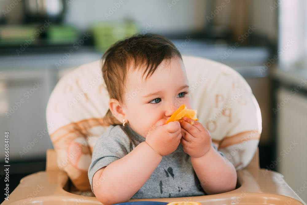 little girl sitting in baby chair, eating an orange little girl sitting in baby chair, eating an orange