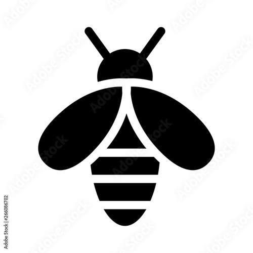 fly