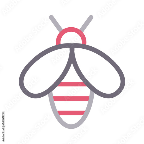 fly