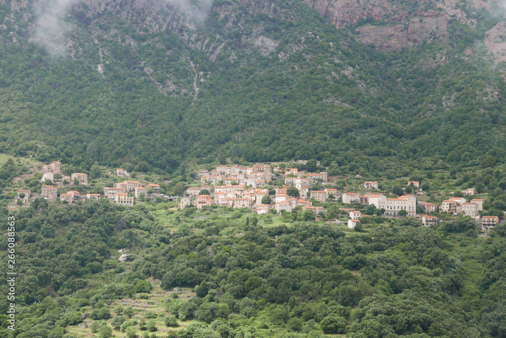 Corse Corse