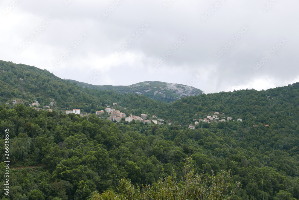 Naklejka premium Corse