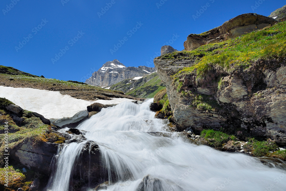mountain river in the alps