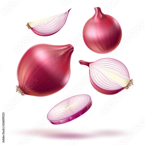 Realistic red onion whole bulb, slices mix. Fresh natural food for product package, menu design. Vector ripe sliced onion for healthy cooking. Natural and vegetarian dieting.