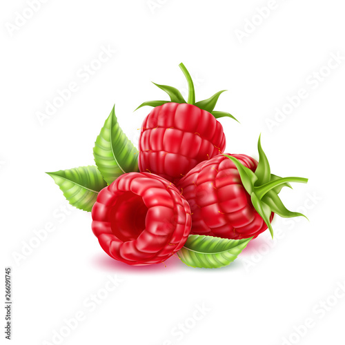 Realistic raspberry with green haulm and leaves. Juicy red fruit full of vitamins. Fresh organic food for healthy eating. Ripe forest, garden berry for sweet dessert. Food package vector design
