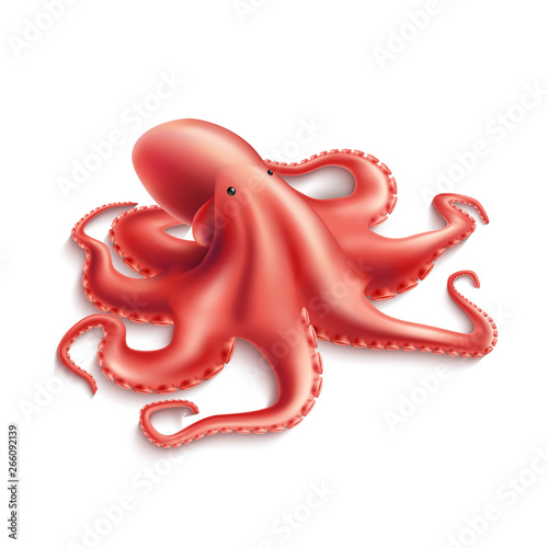 Vector realistic octopus. Hand drawn marine animal with tentacles. Ocean wildlife delicacy food, underwater aquatic squid. Invertebrate wildlife mollusk, seafood for restaurant, cafe menu