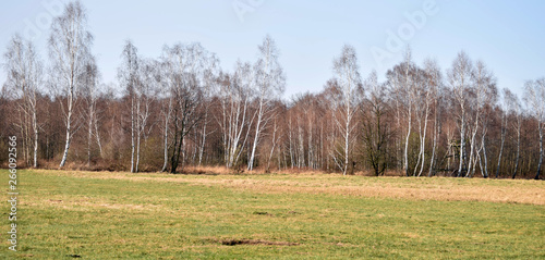 Fototapeta Naklejka Na Ścianę i Meble -  Wiosenny pejzaż