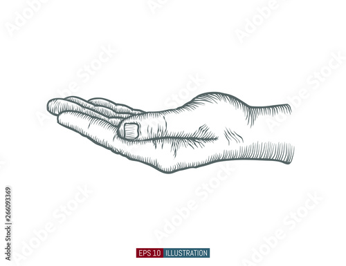 Hand drawn hand gesture. Holding open palm. Template for your design works. Engraved style vector illustration.