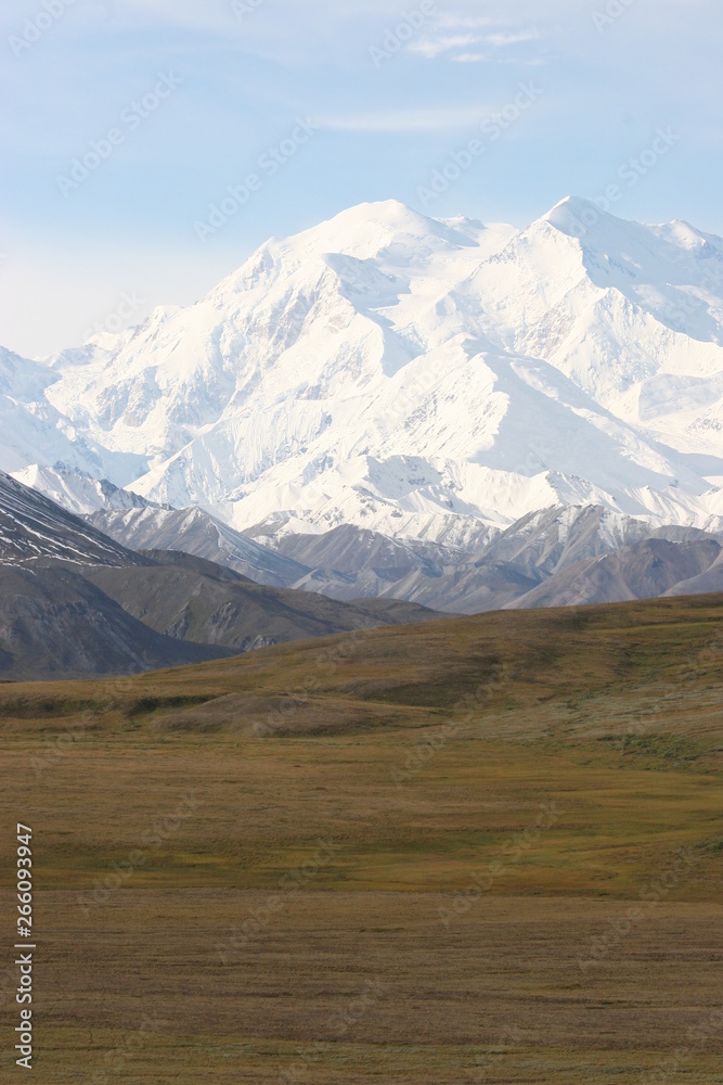 Mount McKinley im Denali National Park, Alaska in clear view (Upright)