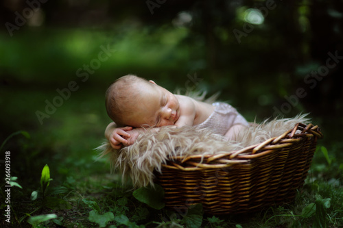 Newborn baby in basket among leaves © natalialeb