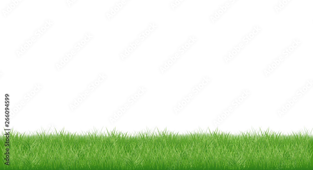 realistic young juicy green grass. isolated on white background realistic young juicy green grass. isolated on white background