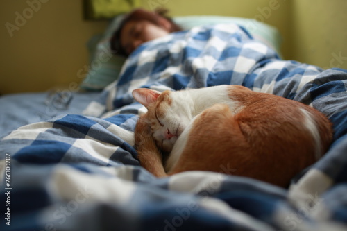 Obraz na płótnie Sleep with your cat on bed