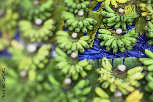 Bananas on the market .Farmer's Market. Selective Focus.