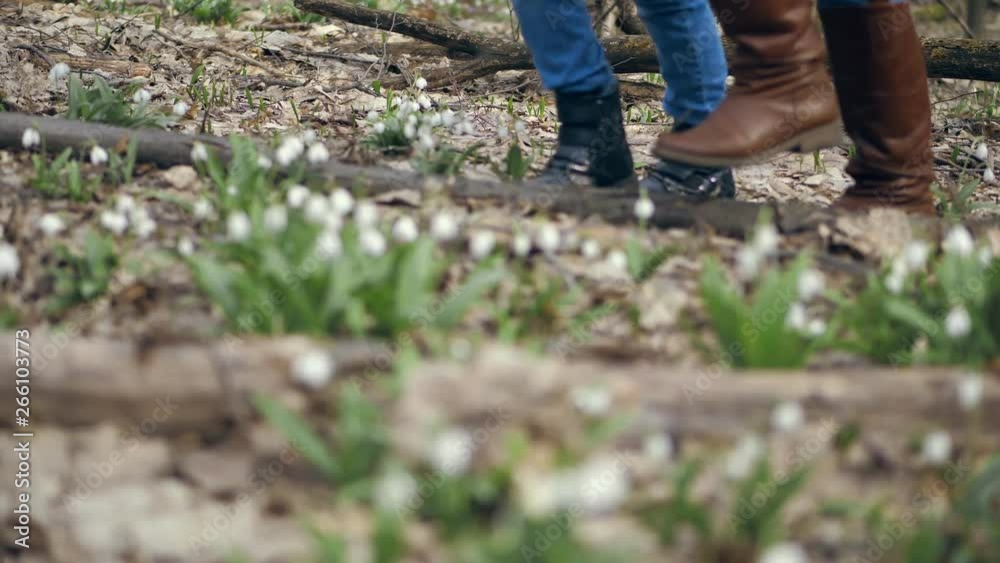 close-up, in the spring forest, among snowdrops, walking female legs in boots, and teenage in boots. family walking in the spring forest close-up, in the spring forest, among snowdrops, walking female legs in boots, and teenage in boots. family walking in the spring forest