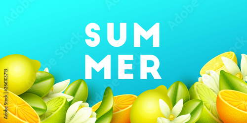 Summer background with fruits. Vector illustration