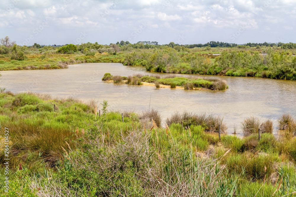Regional Nature Park of the Camargue Regional Nature Park of the Camargue