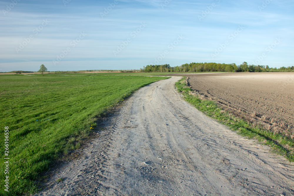Rural road through a meadow and plowed field, trees on the horizon and white clouds on a sky
