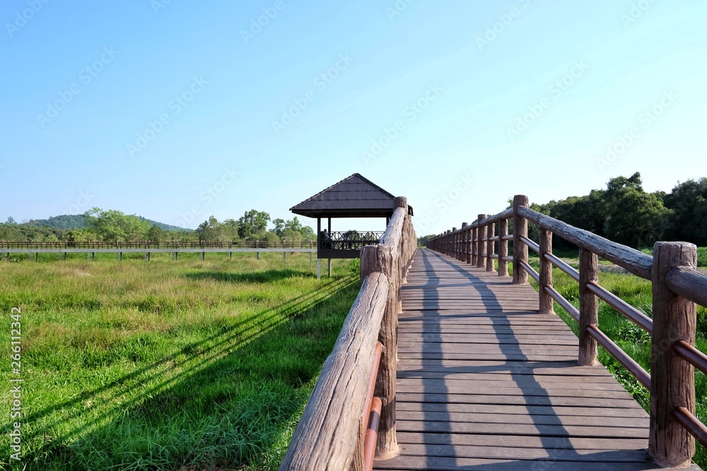 Wooden bridge across  green tropical sedge field against blue sky bright day in Chumphon, THAILAND 