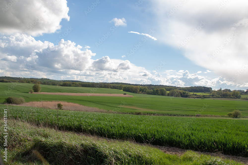 Landschaft in der Mecklenburgischen Schweiz Landschaft in der Mecklenburgischen Schweiz