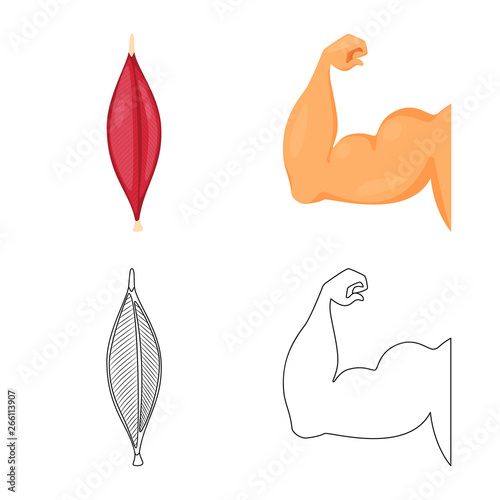 Vector design of fiber and muscular logo. Collection of fiber and body  vector icon for stock.