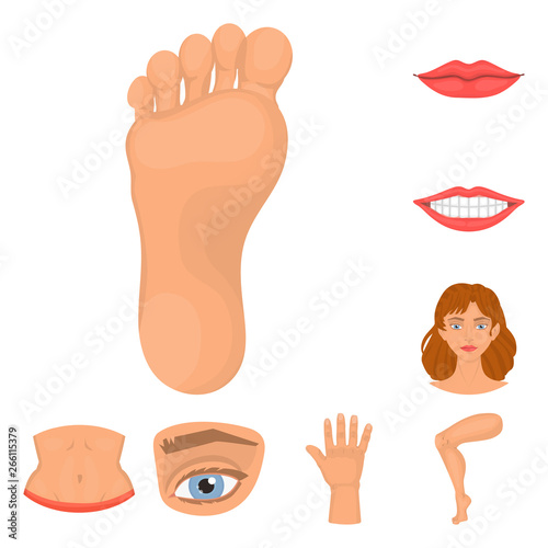 Vector illustration of body and part sign. Set of body and anatomy stock symbol for web.