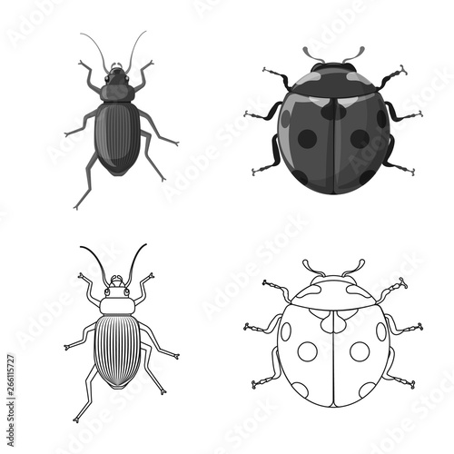 Vector design of insect and fly logo. Collection of insect and element vector icon for stock.