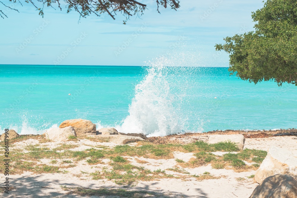 Fototapeta premium Aruba in der Karibik