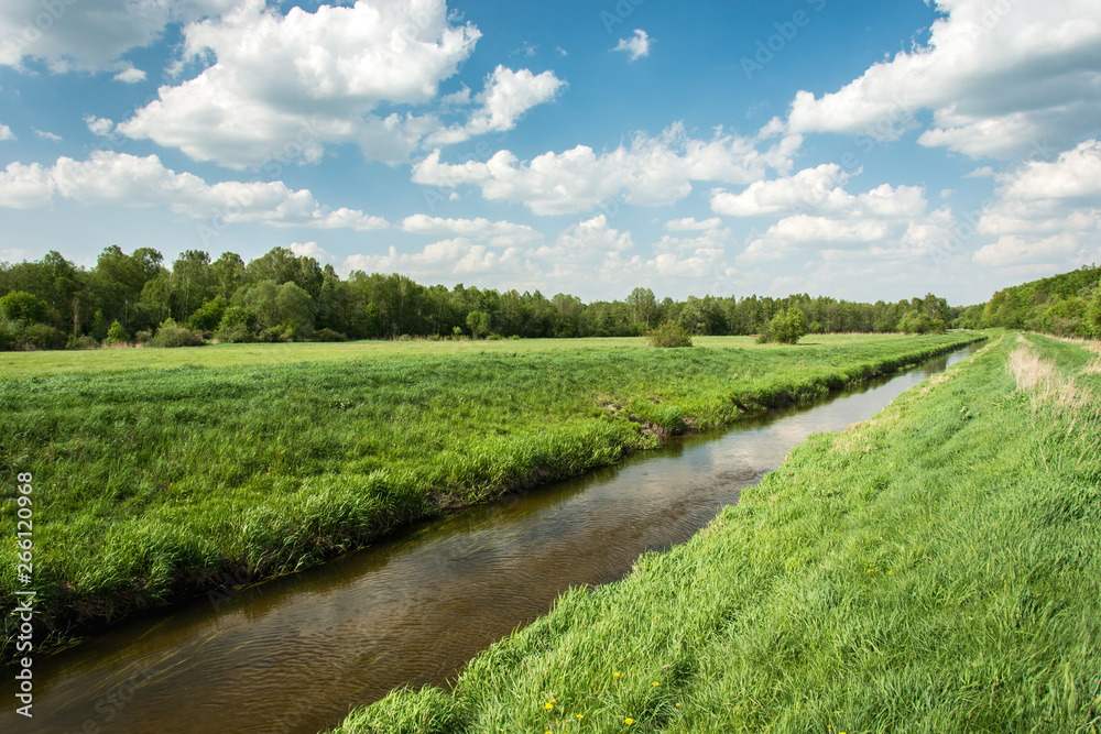 Eastern Poland and river flowing through meadow, forest and clouds on blue sky