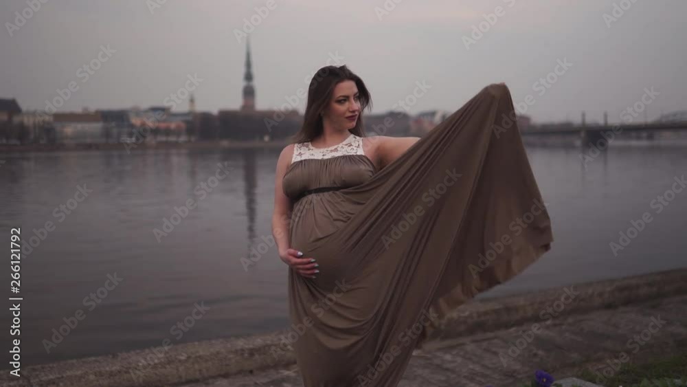 Young pregnant woman is happy in her travel destination country Latvia with a view over city Riga and river Daugava - White caucasian girl wearing maternity dress Young pregnant woman is happy in her travel destination country Latvia with a view over city Riga and river Daugava - White caucasian girl wearing maternity dress