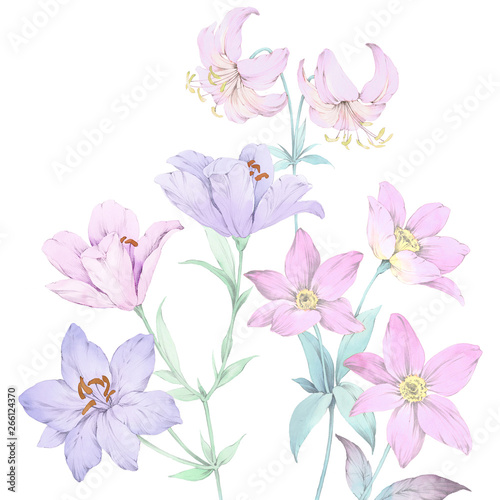 Flowers watercolor illustration,Mother's Day,wedding,birthday,Easter,Valentine's Day,Pastel colors,Spring,Summer © TAOZHU GONG
