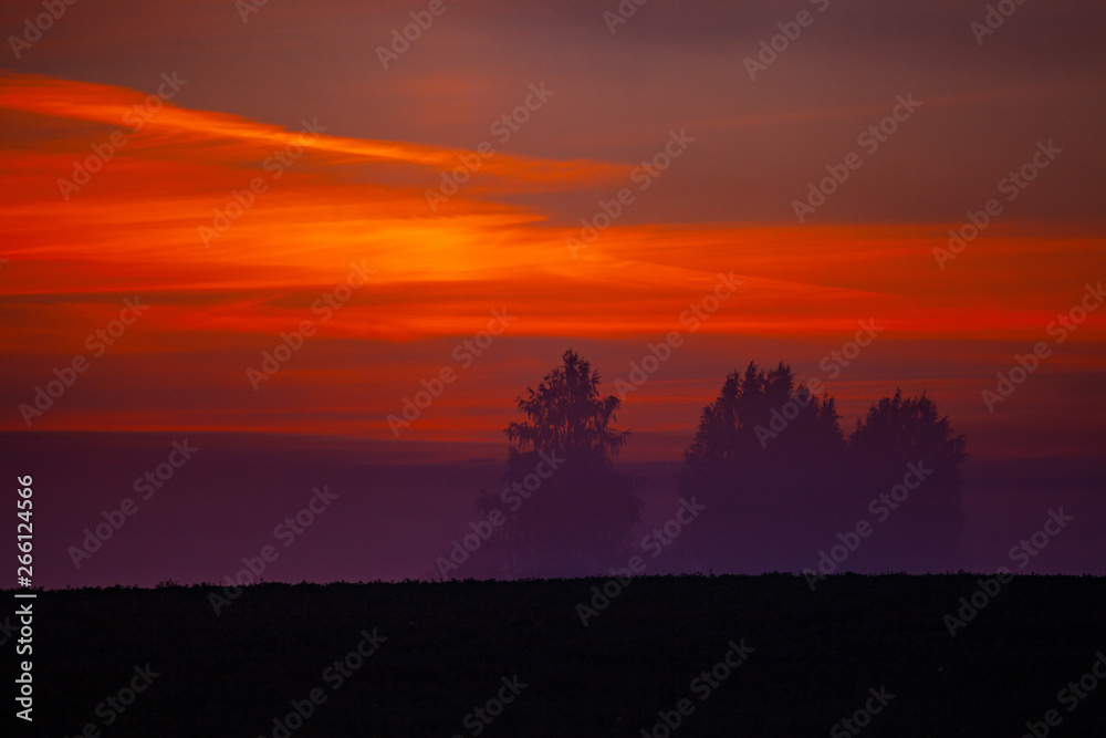 Morning red sunrise at mysterious landscape at the field