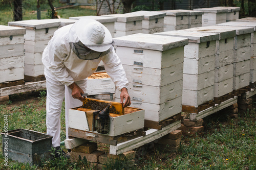 worker in protective wear inspecting hives
